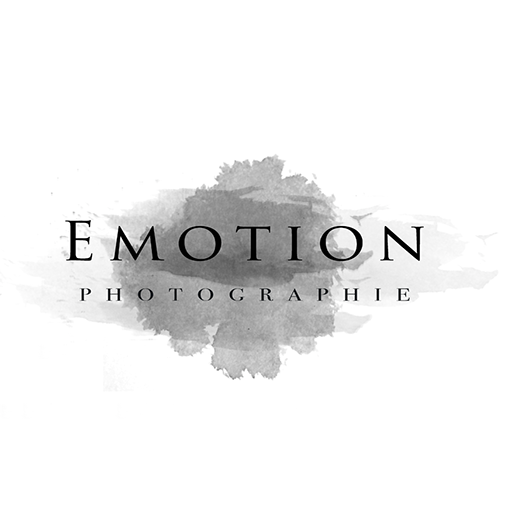 Photographe mariage Nantes